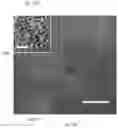 Fig. 16 - Synthesis of Nanoparticles by Sonofragmentation of Ultra-Thin Substrates