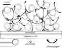 Fig. 01 - COMPOSITIONS AND FORMULATIONS FOR ENTRAPPING PROTEIN ON A SURFACE
