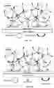 Fig. 02 - COMPOSITIONS AND FORMULATIONS FOR ENTRAPPING PROTEIN ON A SURFACE