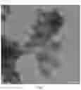 Fig. 02 - Adsorbent particles