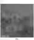 Fig. 03 - Adsorbent particles