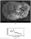 Fig. 02 - Method for producing absorbent