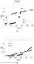 Fig. 03 - Process for preparing sulfated adsorbents, sulfated adsorbents and use