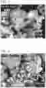 Fig. 04 - CATALYST FOR AMMONIA SYNTHESIS AND METHOD FOR SYNTHESIZING AMMONIA USING THE SAME