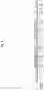 Fig. 07 - Strong cation exchange chromatographic matrix and method for using same