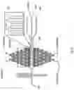 Fig. 08 - Apparatus and a method for patterning biological cells