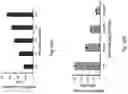 Fig. 13 - Apparatus and a method for patterning biological cells
