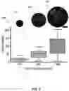 Fig. 10 - MICROFLUIDIC DEVICE FOR LIVE CELL MANIPULATION AND ANALYSIS