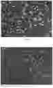 Fig. 13 - MICROFLUIDIC DEVICE FOR DIGITAL DROPLET PCR