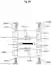 Fig. 29 - Rolling mill and rolling mill adjustment method
