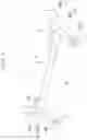 Fig. 12 - Manufacturing method of member, manufacturing method of member for vehicle, and die and punch