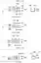 Fig. 24 - Manufacturing method of member, manufacturing method of member for vehicle, and die and punch