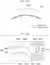 Fig. 36 - Manufacturing method of member, manufacturing method of member for vehicle, and die and punch