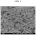 Fig. 02 - Fine copper particles, method for producing fine copper particles and method for producing sintered body