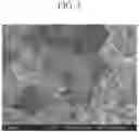 Fig. 05 - Fine copper particles, method for producing fine copper particles and method for producing sintered body