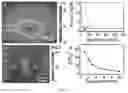 Fig. 04 - Method for laser-induced growth of nano-units to form oriented, chiral, and complex structures