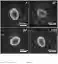 Fig. 07 - Method for laser-induced growth of nano-units to form oriented, chiral, and complex structures