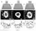 Fig. 08 - Method for laser-induced growth of nano-units to form oriented, chiral, and complex structures