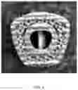 Fig. 05 - SYSTEMS AND METHODS FOR SELECTIVE LASER SINTERING OF SILICON NITRIDE AND METAL COMPOSITES