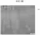 Fig. 07 - Laminated molding and method of manufacturing laminated molding