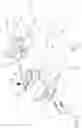 Fig. 03 - Wrench