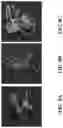 Fig. 10 - Interactive tactile perception method for classification and recognition of object instances