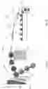 Fig. 08 - Impellers for cutting machines and cutting machines equipped therewith