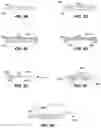 Fig. 08 - MOLDED STRUCTURES WITH CHANNELS