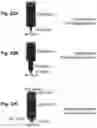 Fig. 16 - Device and method for coating surfaces