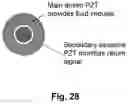 Fig. 22 - Device and method for coating surfaces