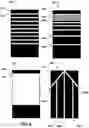 Fig. 06 - Creating morphing objects by inkjet printing thermoresponsive hydrogels