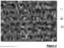 Fig. 04 - Sliding board including on its visible face a decorated composite material and associated method