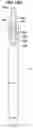 Fig. 22 - Writing tool