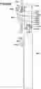Fig. 48 - Writing tool