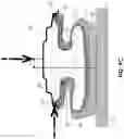 Fig. 12 - Pneumatic tire with annular sidewall concavity