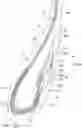 Fig. 01 - Tire