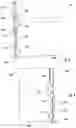 Fig. 03 - Sliding golf cart windshield assembly