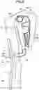 Fig. 07 - Vehicle seat