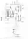 Fig. 07 - ELECTRONIC HYDRAULIC BRAKE DEVICE