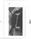 Fig. 04 - METHODS AND SYSTEMS FOR STICHING OF IMAGES INTO A VIRTUAL IMAGE