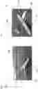 Fig. 03 - Autonomous multi-purpose heavy-lift VTOL