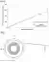 Fig. 07 - WINDING DEVICE AND WINDING METHOD