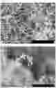 Fig. 03 - METAL-BASED STRUCTURE OR NANOPARTICLES CONTAINING HYDROGEN, AND METHOD FOR PRODUCING SAME