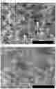 Fig. 04 - METAL-BASED STRUCTURE OR NANOPARTICLES CONTAINING HYDROGEN, AND METHOD FOR PRODUCING SAME