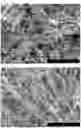 Fig. 05 - METAL-BASED STRUCTURE OR NANOPARTICLES CONTAINING HYDROGEN, AND METHOD FOR PRODUCING SAME