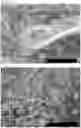 Fig. 06 - METAL-BASED STRUCTURE OR NANOPARTICLES CONTAINING HYDROGEN, AND METHOD FOR PRODUCING SAME