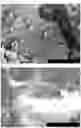 Fig. 07 - METAL-BASED STRUCTURE OR NANOPARTICLES CONTAINING HYDROGEN, AND METHOD FOR PRODUCING SAME