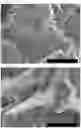 Fig. 08 - METAL-BASED STRUCTURE OR NANOPARTICLES CONTAINING HYDROGEN, AND METHOD FOR PRODUCING SAME