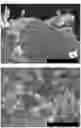 Fig. 11 - METAL-BASED STRUCTURE OR NANOPARTICLES CONTAINING HYDROGEN, AND METHOD FOR PRODUCING SAME