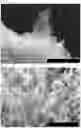Fig. 12 - METAL-BASED STRUCTURE OR NANOPARTICLES CONTAINING HYDROGEN, AND METHOD FOR PRODUCING SAME